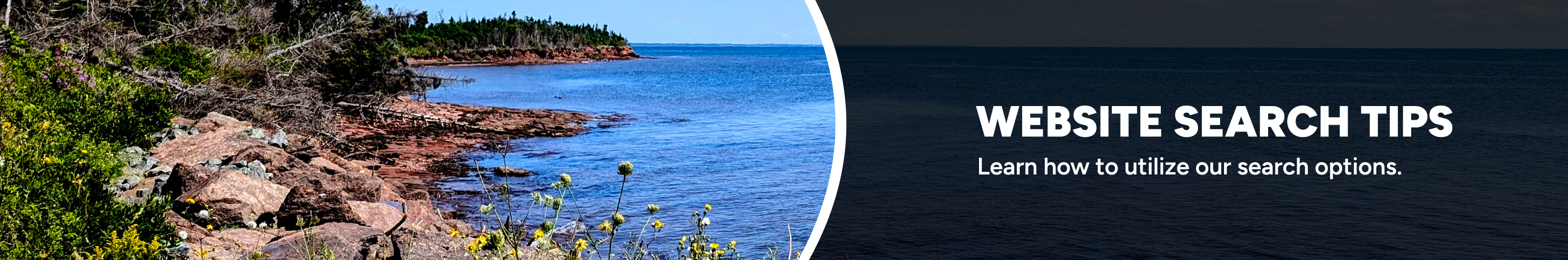 WebsiteSearchTips banner
